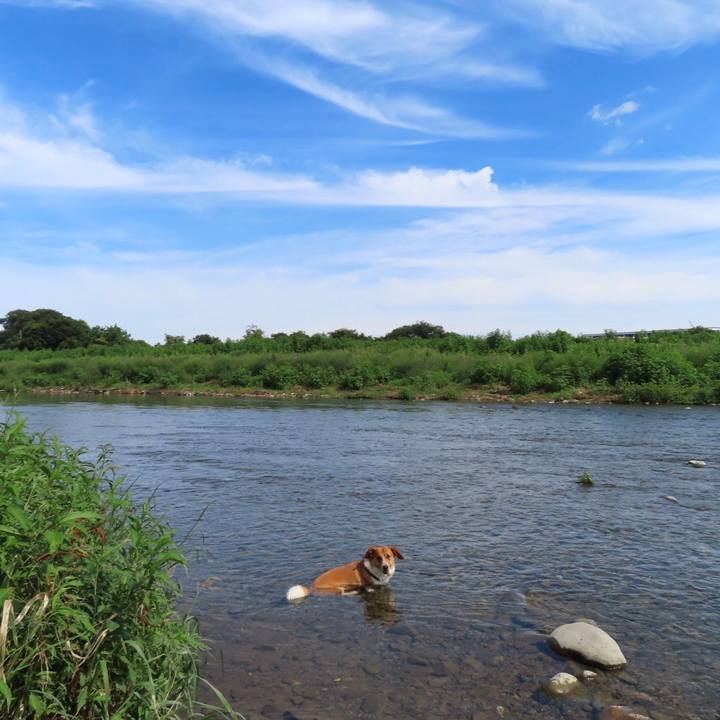 A03eef9d a331 428a b2de 01e420f109e2 1628650432900