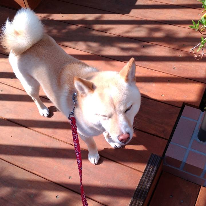 A03f47c4 902c 4455 8011 fcf8fa07850f 1523361165409