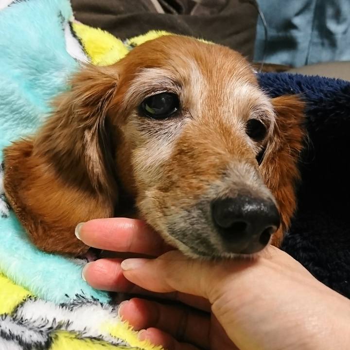 A03f75b2 aca7 4523 847b dfaab6ae4817 1509813983557