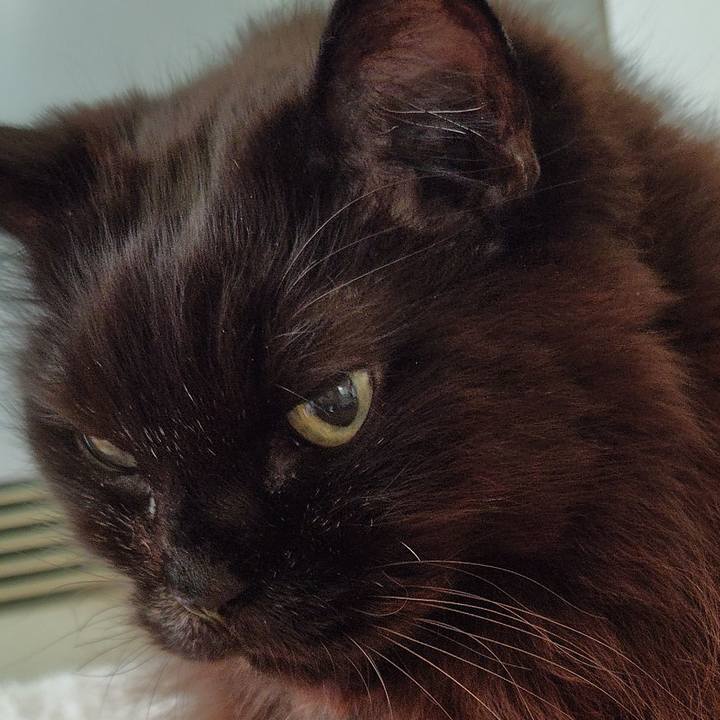 A03f7cd6 0107 425b 9140 77f1fdac00ec 1736593884641