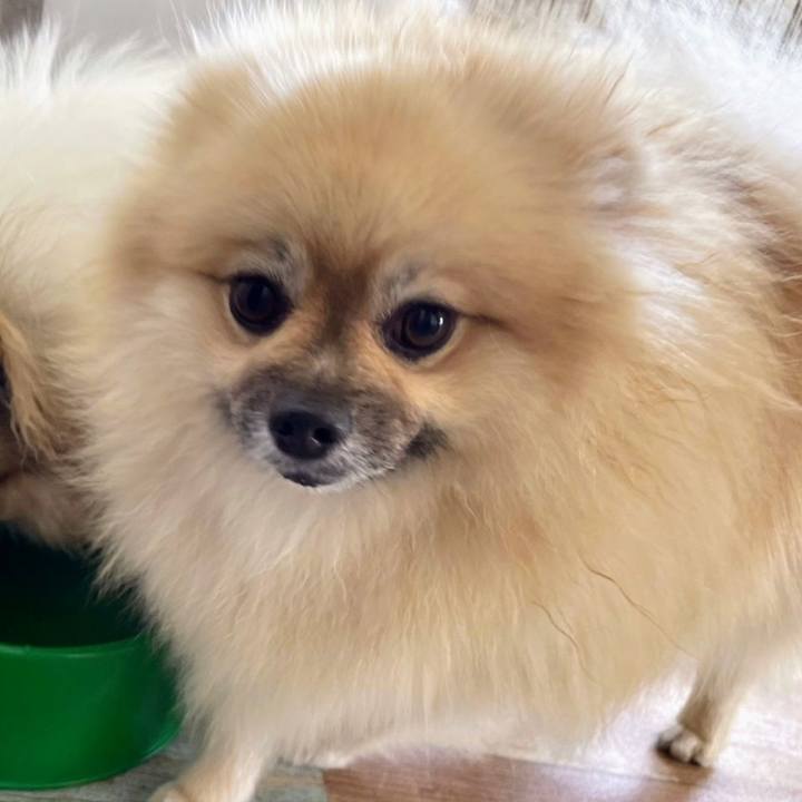 A03f8a78 dcec 4c03 80a6 2ee1272f2084 1658381222408