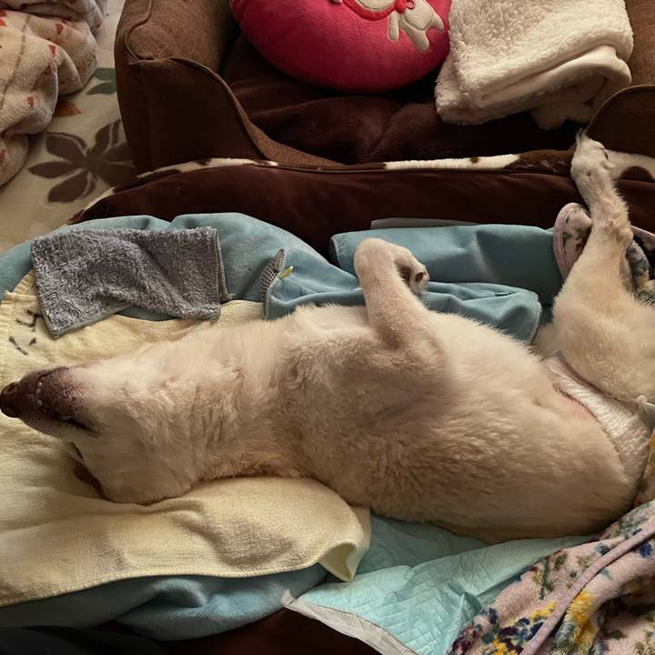 A03f998d 2b40 47a3 bdb3 4f6088e03f73 1677622570657