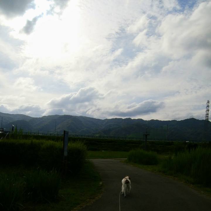 A03f9a3a f8b6 4795 a7da 3760cc452077 1560728959563