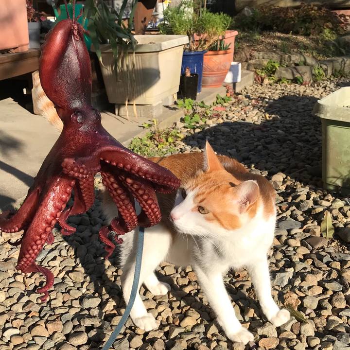 A03fbf5e 7ce1 41ee 9bdc e40b493bcde9 1510814526109