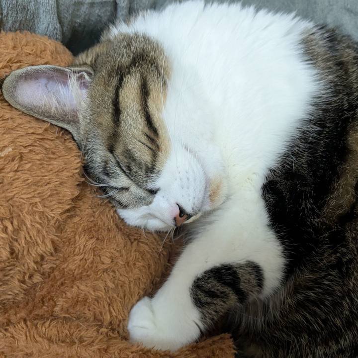 A03fd647 001a 4303 a901 f1e7319a3d68 1737079608911