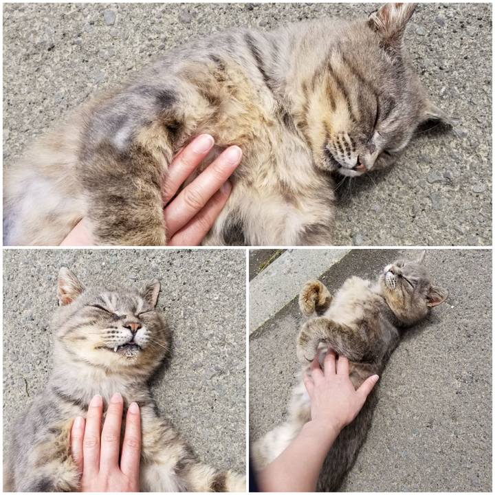 A03fdbed 6522 4109 bd67 7bee899424cf 1527216087429