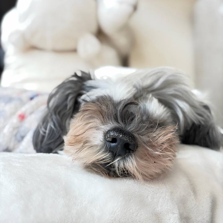 A03ff6a5 2cbf 4bb6 a633 2c3938bd70b6 1764636038620