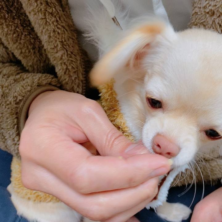 A0400b68 7327 48b2 86bd 85f06deb3dd8 1609731620527