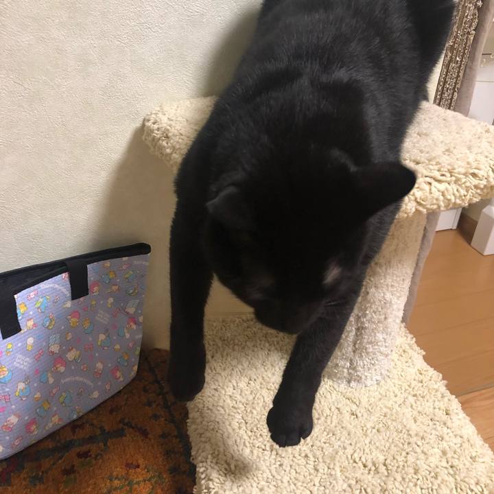 A0403f0a b412 4871 b4da fffd052bde0f 1562847386386