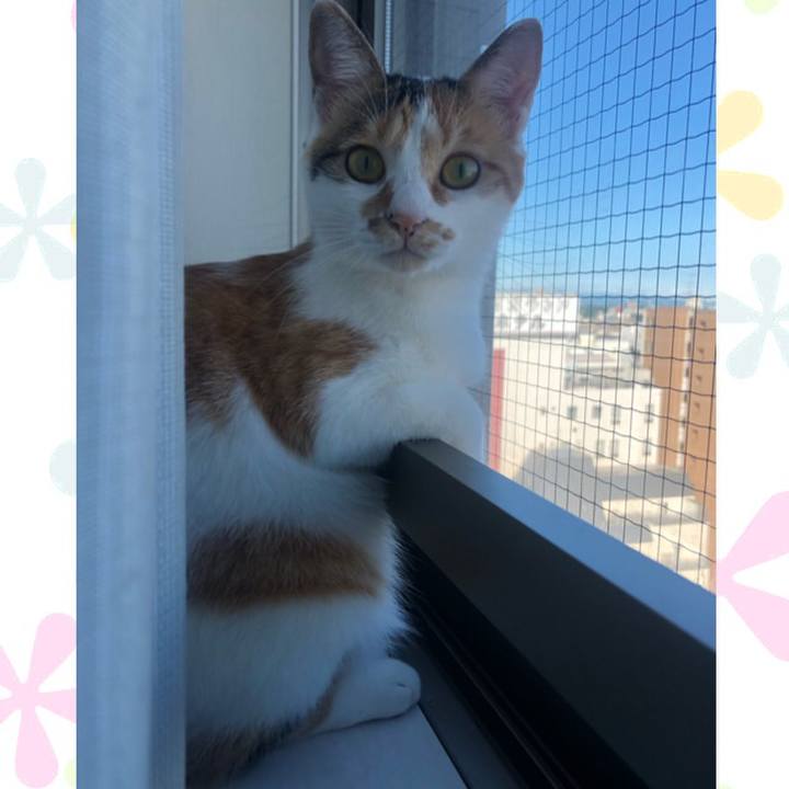 A0405960 8d98 46a6 9310 10e1d782e528 1601249609325