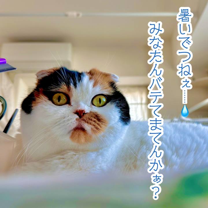 A0405f02 e45a 4601 a911 789bceab07e3 1716192573153