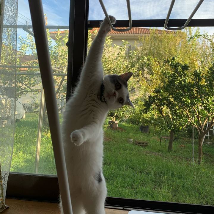 A0407152 acb0 4b30 a477 596742ce15ba 1725668962027