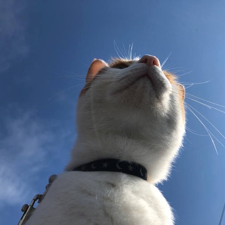 A0408092 f0f3 47c7 a3af 9f21b8468df0 1537933394870