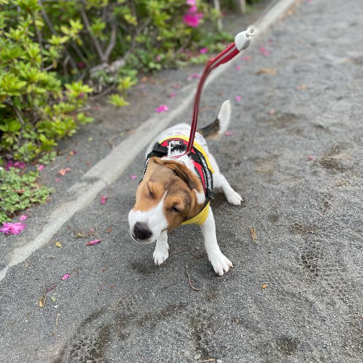 A0409586 8a9e 4d86 9626 245a56fde8ef 1681811366524