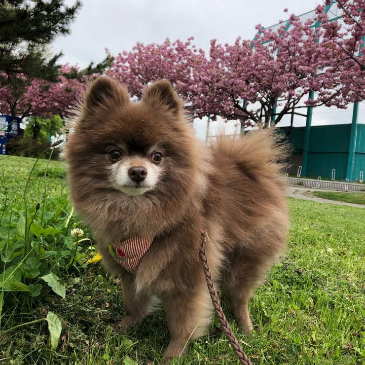 A0409716 009d 4001 ba52 a2f8b838ba61 1621141081398