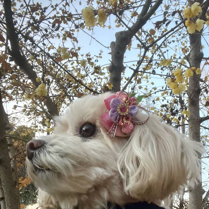 A040a6d1 c77a 47bf b256 0d548739d104 1767513931165