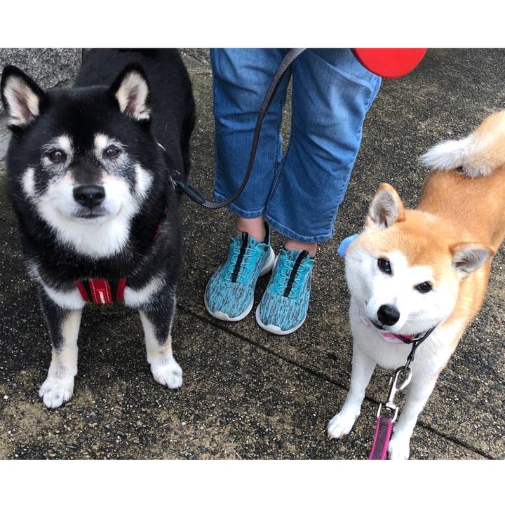 A040b863 0165 4bfe 9bf9 b0e8d29257ab 1563063702473