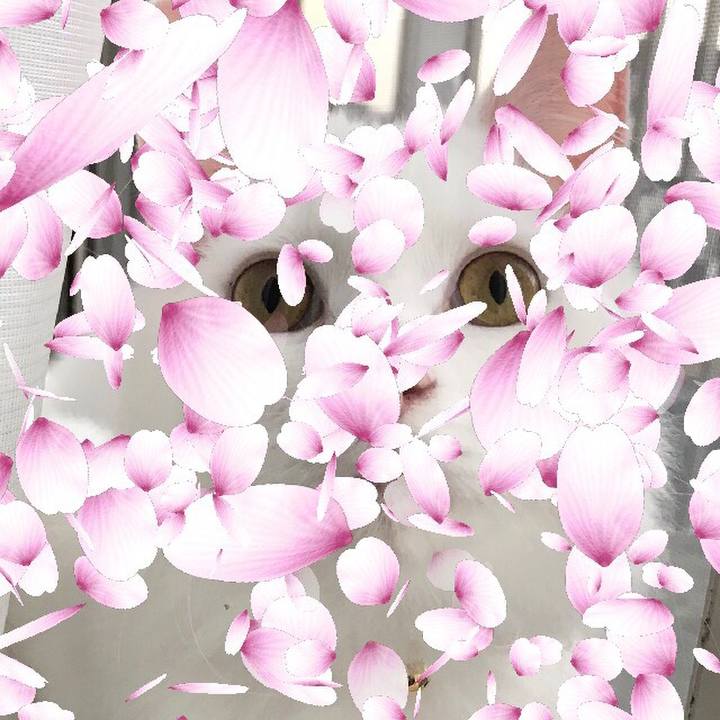 A040f19a 6cbc 43f2 a560 f2cc7084c950 1522493912889