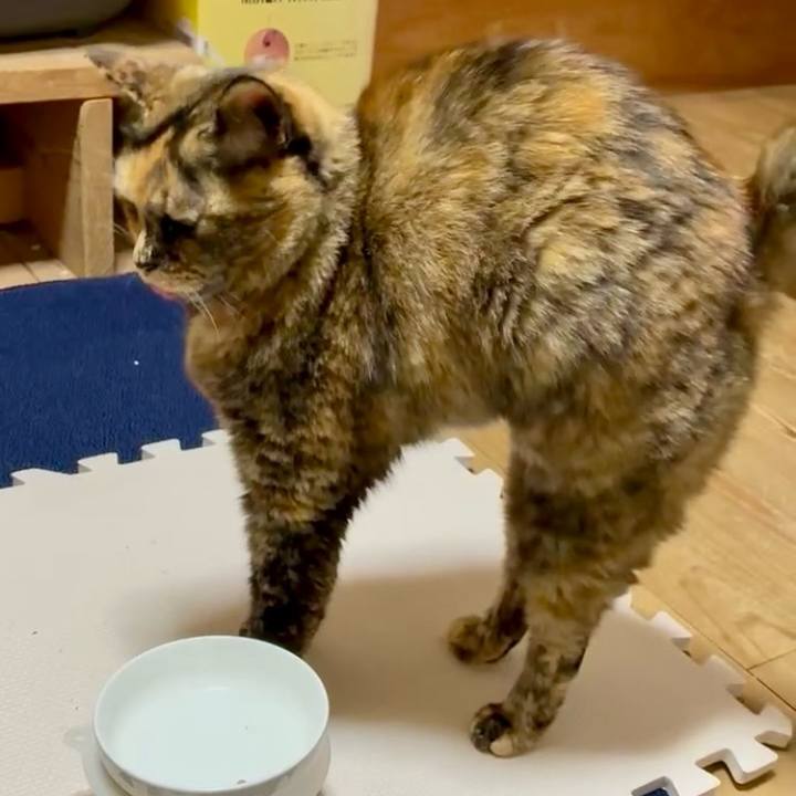 A041292f f4a6 4b94 9e0f c2b68a1e5e7e 1765370055910