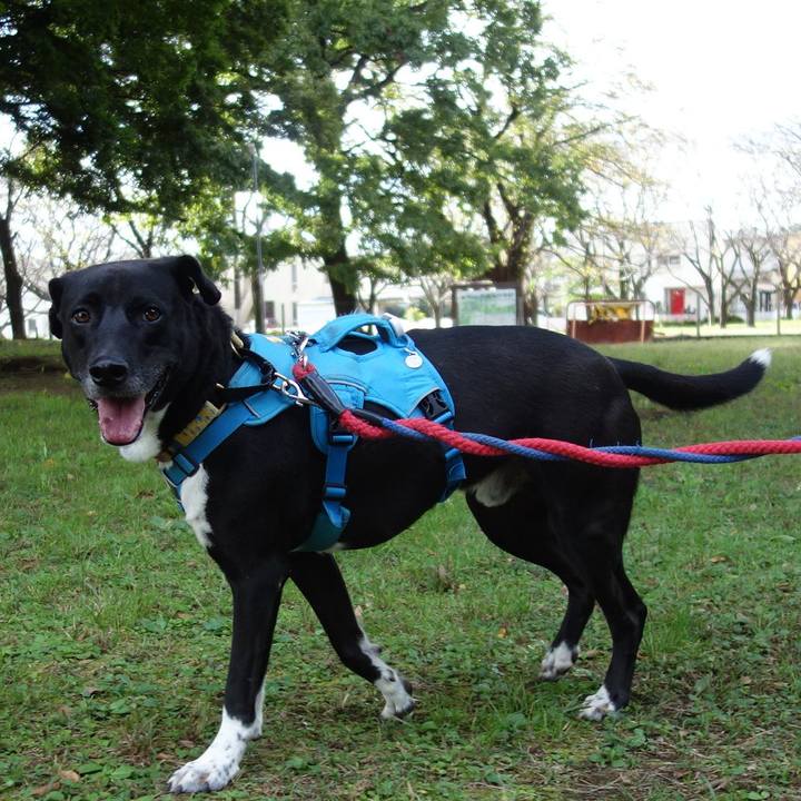 A0413614 8cb2 42d4 8088 d68bd0e50b93 1634778195975