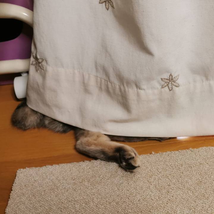 A0415f86 263b 45b9 bc3c d9b625f903e2 1617350556847