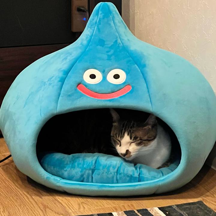 A0417fe4 322a 453e 98fc 7a16bb754aa3 1759838924929