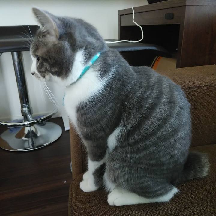 A041f91e b382 4b65 b8ed b1ce5dcfe50d 1582258726583