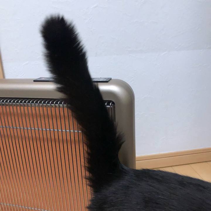 A041fab2 b64b 4c6e 90de c551a71d460b 1588315225295