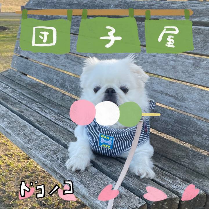 A0427a4d 1a88 4921 b50c 6e8ce490da04 1712558721272