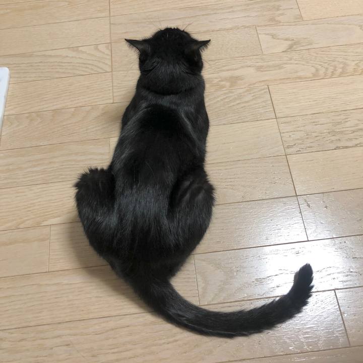 A042fcc5 a68c 4823 96ca 4209784918b2 1600345872062