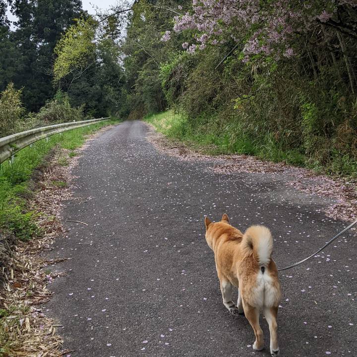 A04303ee 0d6b 48ce b6e1 554d18d90f48 1649940569478