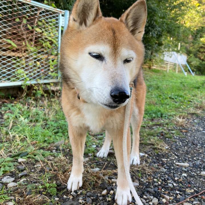 A04323d6 01fd 4ab0 8e96 2f0e089d831f 1762734143996