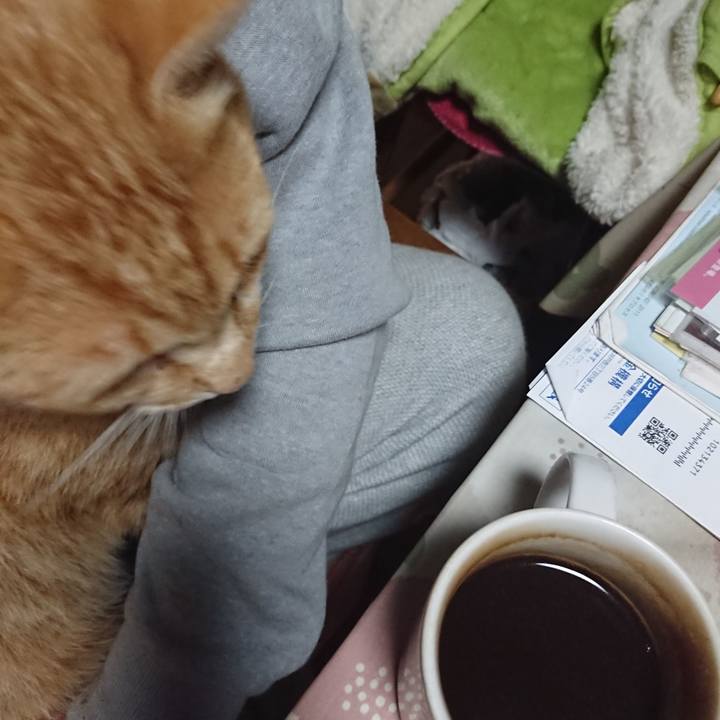 A04360fe e093 4380 990e 03625c64ea55 1591733228831