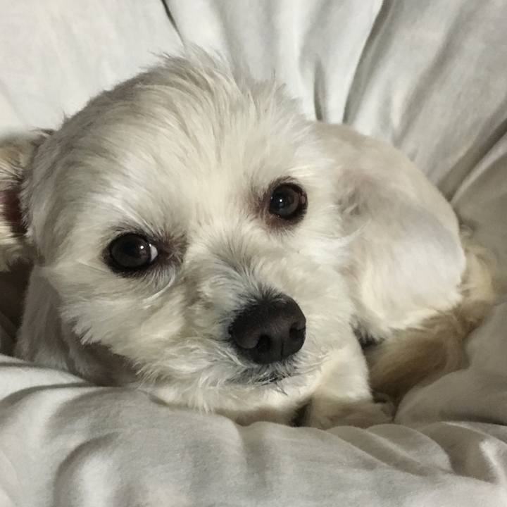 A043b177 4876 4993 9e39 8e002fa62c43 1556016958860