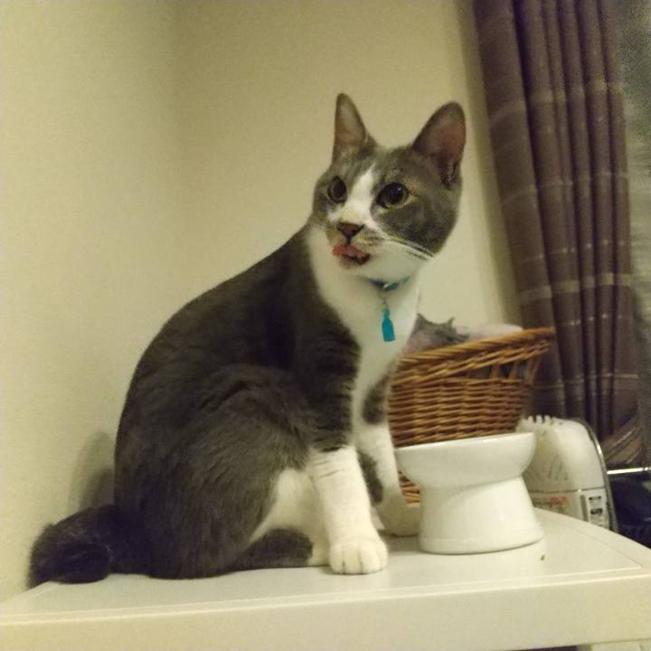 A043bd65 7c81 4704 a8b5 d19a09fd9b89 1619867558831