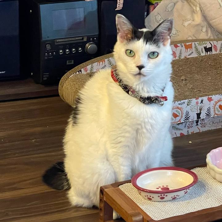 A043df25 bd35 44e9 bc09 915c70287007 1724239758677