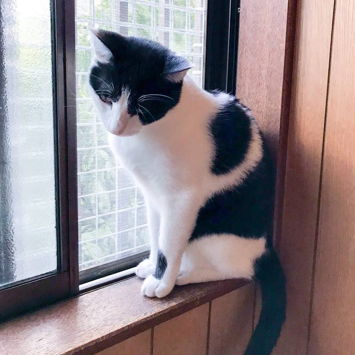 A043e140 4fb9 4a57 95fc 3f8c3395891d 1509151565671