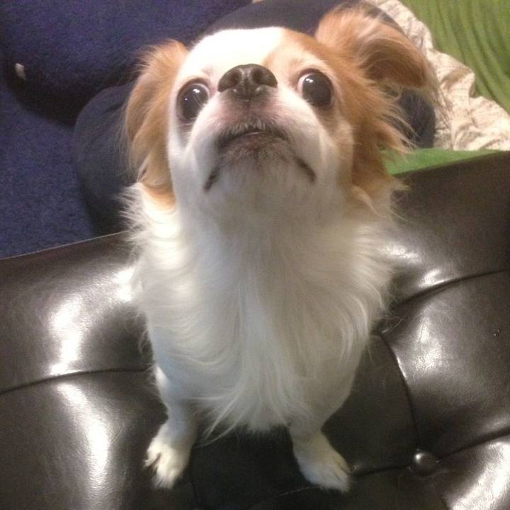 A043ed16 07e3 4d02 9fed 627b6326b8f1 1519642123740