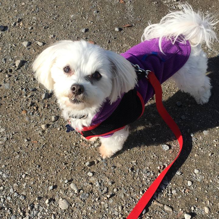 A044172d f4b5 468b bb92 8a86d8e38354 1544848210504