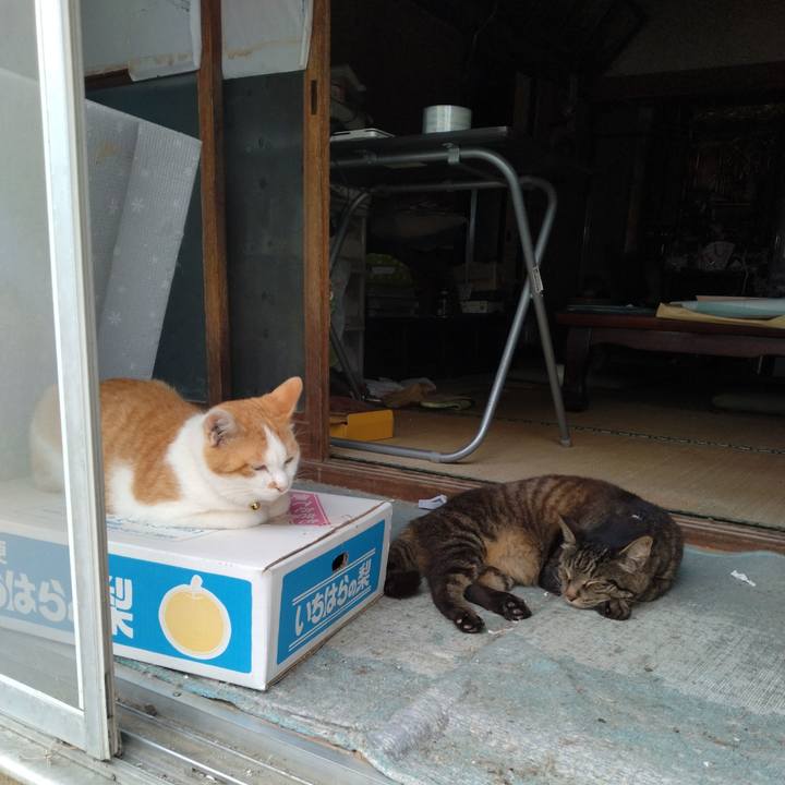 A04432e5 3cd3 4fb9 9812 2e7b027fb12c 1752136673699