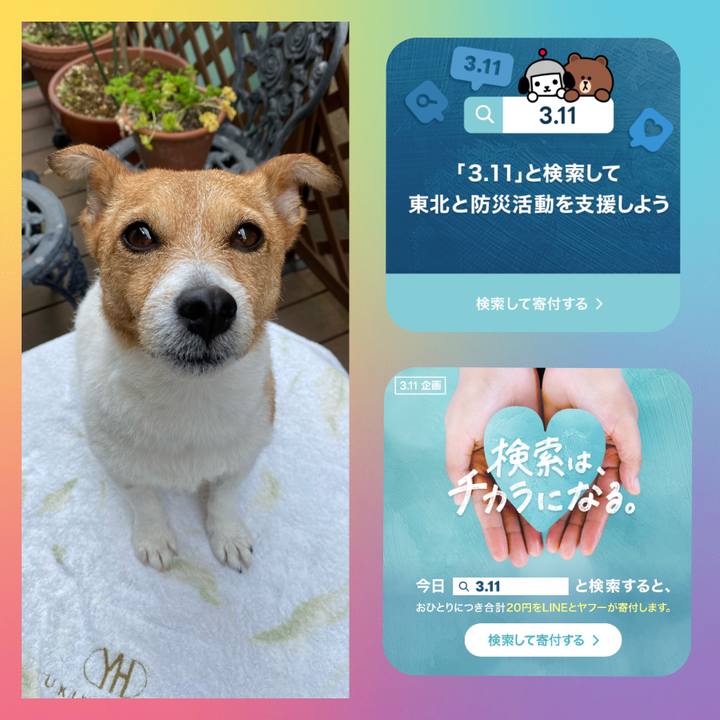 A04434bf dac8 4442 ae78 3e48c2b7da02 1678508885150