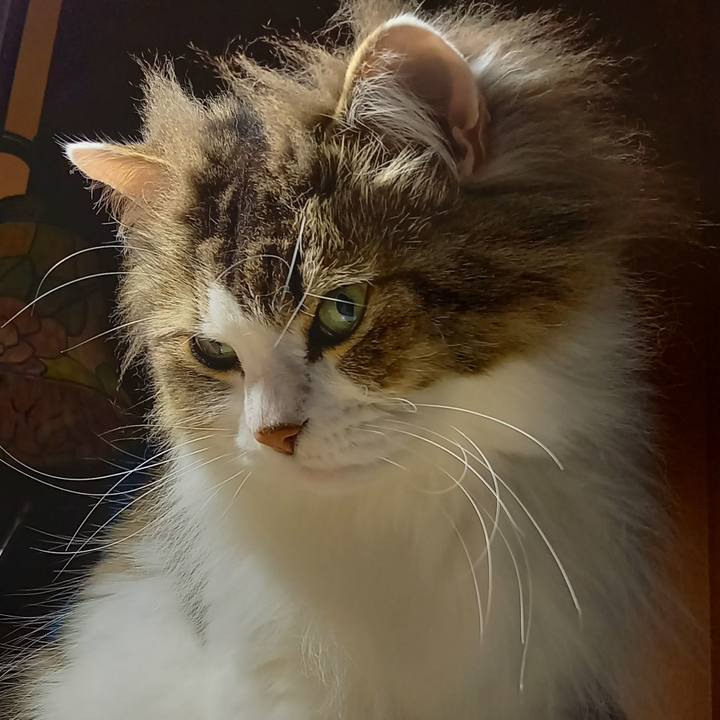 A044749a e4cf 49ff 8017 42141970e2d5 1616676244468