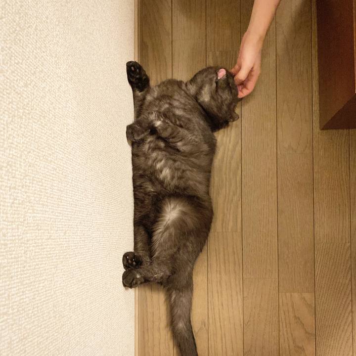 A04478f1 ad8a 4494 a8bd 79af0810f725 1597675140058