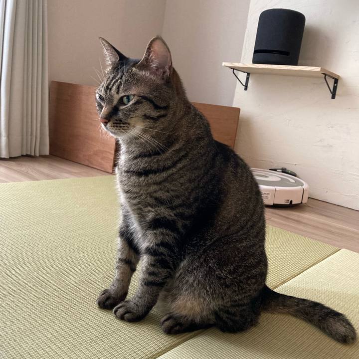 A044b64c 5f90 4525 b7da d0fc97ab915d 1626075498798