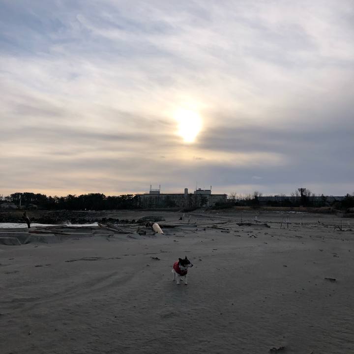 A044bad6 26b3 4965 930f 4cdb6ea732b6 1581289922759