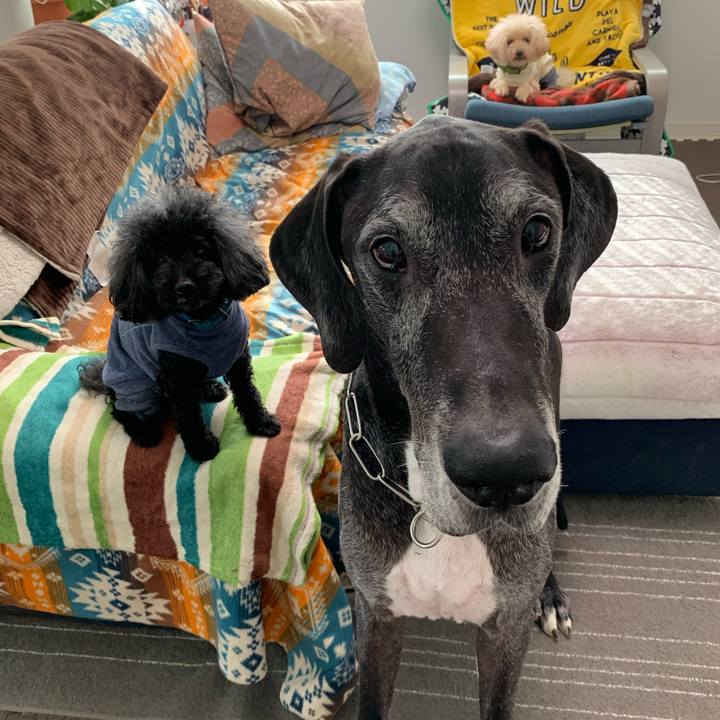 A044be08 14a3 4576 a11b 40fc980a4ed0 1603839298239