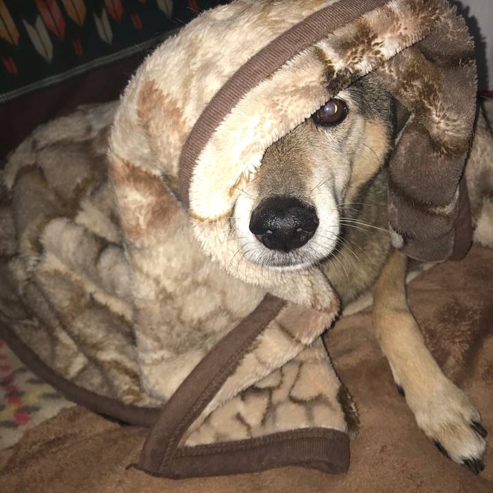 A044c551 4072 48e0 9c6f 09a6a34fb8ab 1546204817094