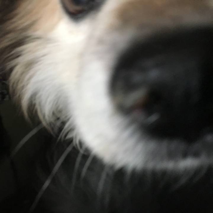 A0450894 a58b 4233 a392 7a6a4907471c 1584208795170