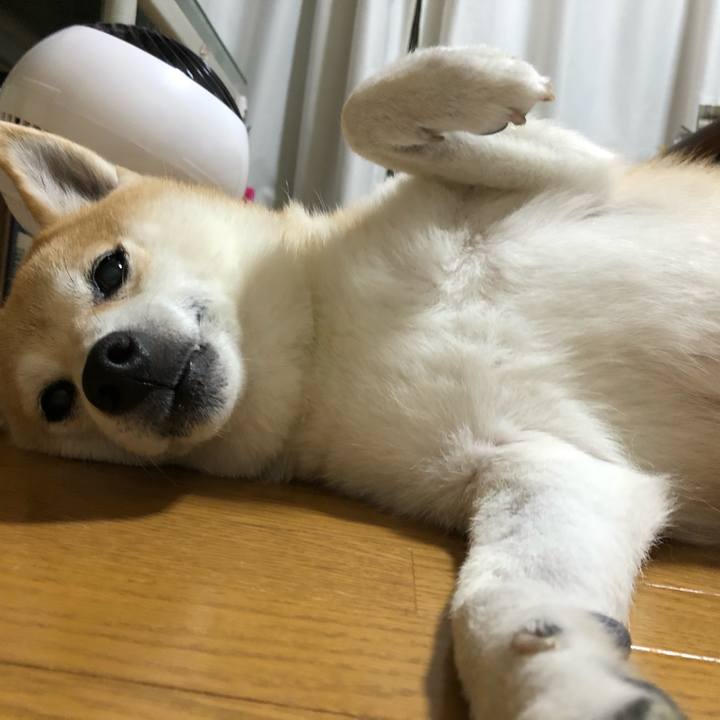 A045f27d 0ba5 46b1 a0f1 d43d5270ffe6 1599567443630