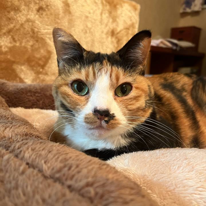 A045fc56 c2eb 4d9d b287 c8c60e1d17c7 1681558471280